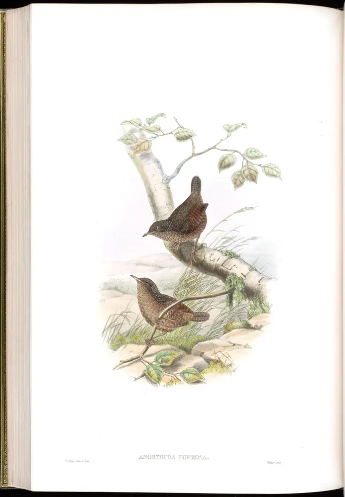 The whole sheet of volume IV, plate 52, with its engraved caption