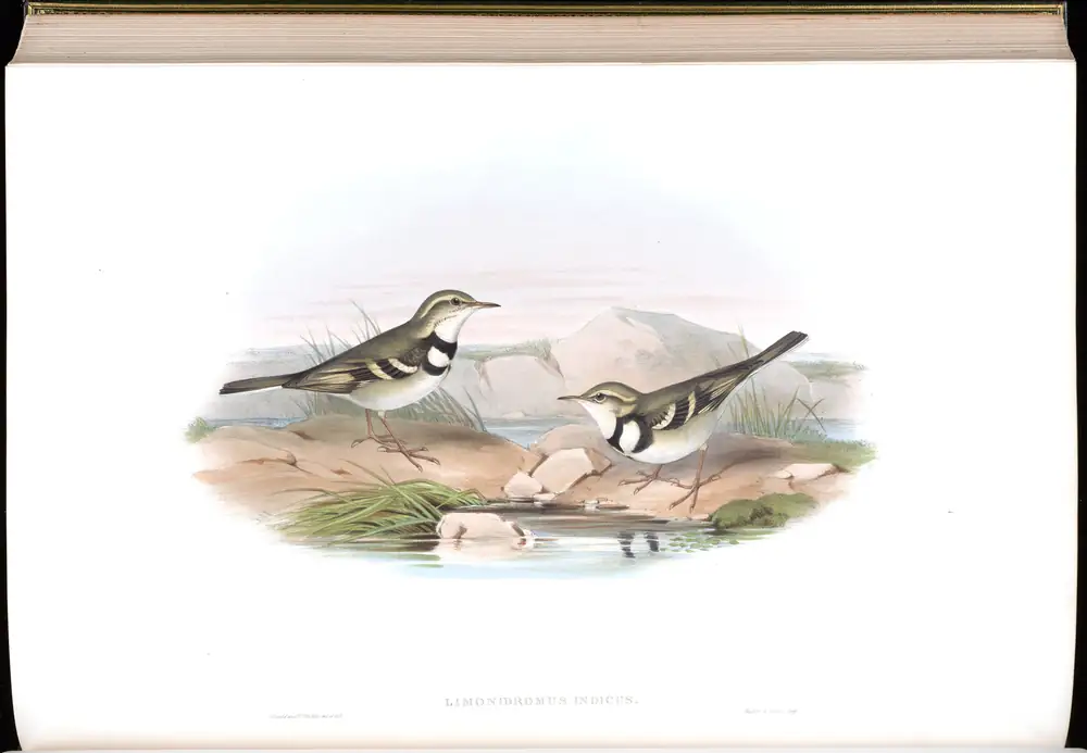 The whole sheet of volume IV, plate 67, with its engraved caption