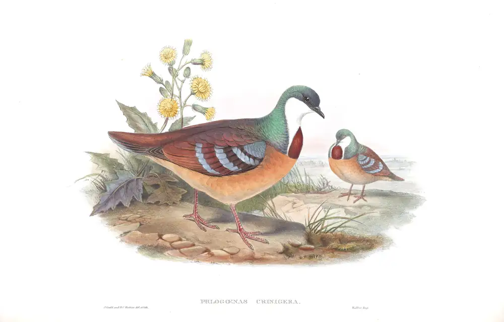 The whole sheet of volume VI, plate 52, with its engraved caption