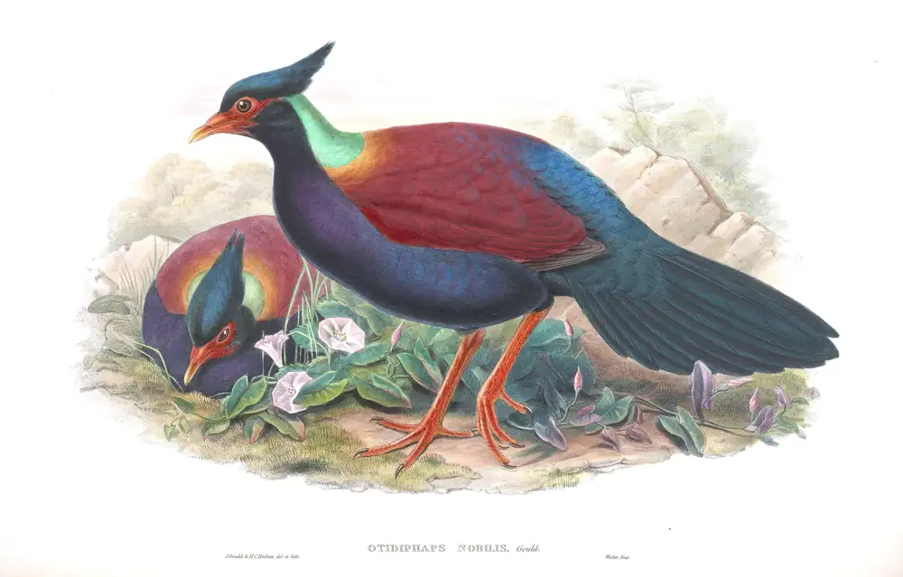 The whole sheet of volume VI, plate 53, with its engraved caption