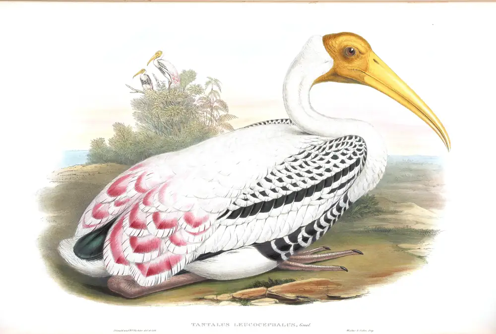 The whole sheet of volume VII, plate 59, with its engraved caption