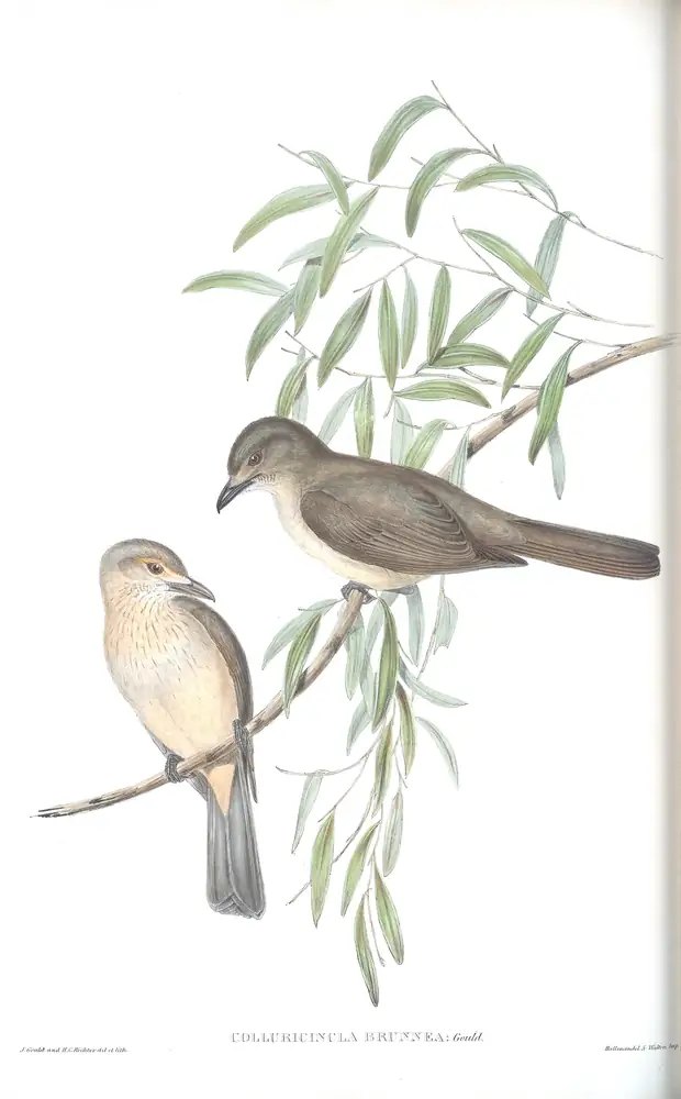 The whole sheet of volume II, plate 76, with its engraved caption