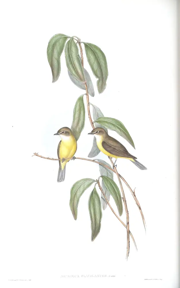 The whole sheet of volume II, plate 94, with its engraved caption