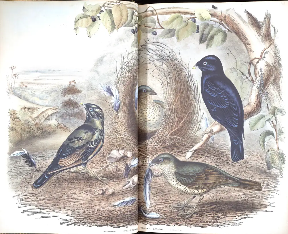 The whole sheet of volume IV, plate 10, with its engraved caption