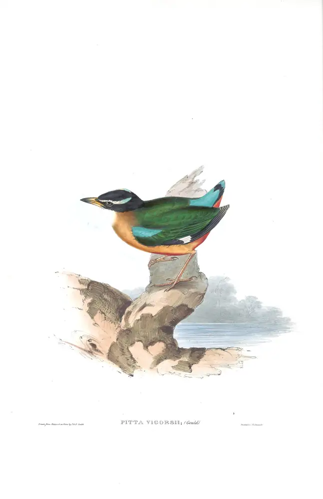 The whole sheet of volume IV, plate 2, with its engraved caption
