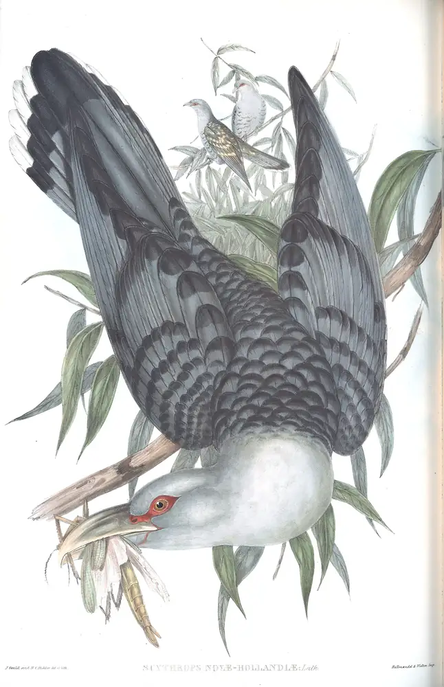 The whole sheet of volume IV, plate 90, with its engraved caption