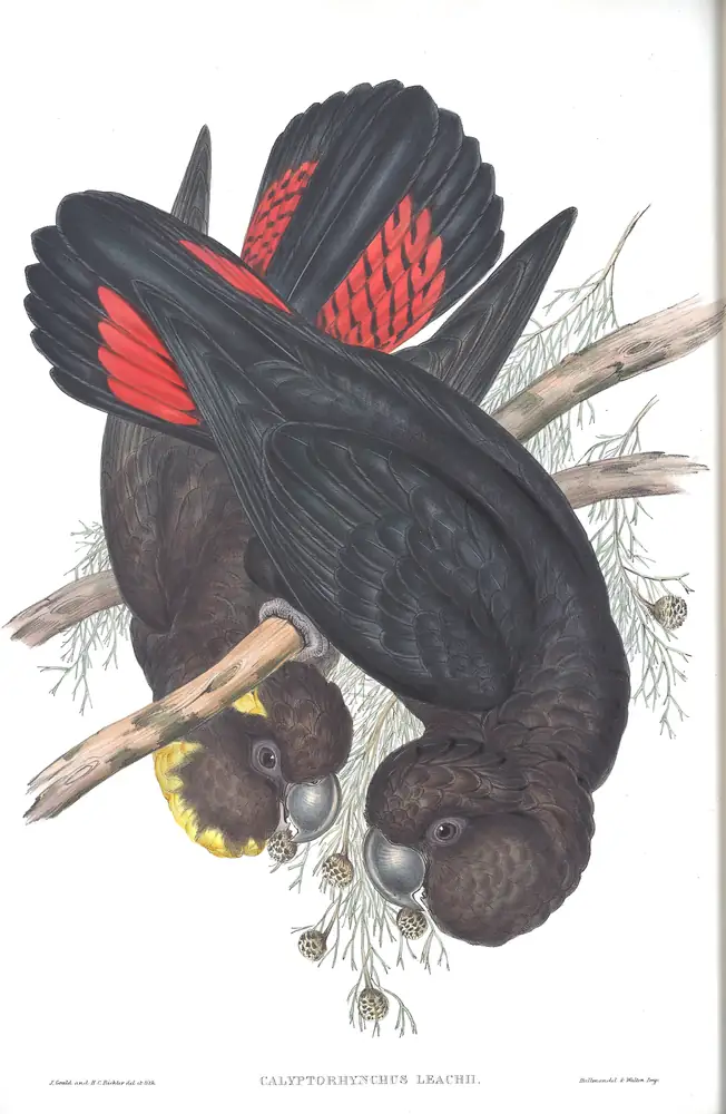 The whole sheet of volume V, plate 10, with its engraved caption