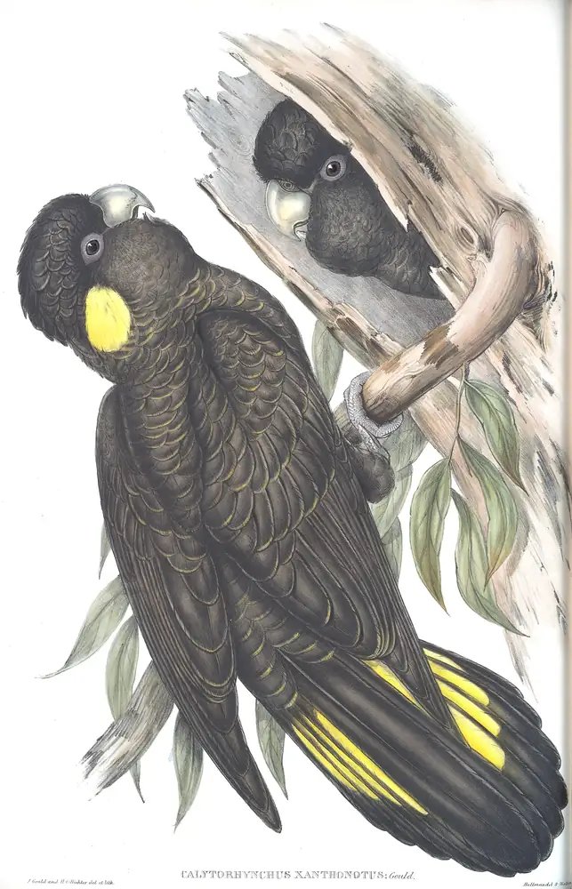The whole sheet of volume V, plate 12, with its engraved caption
