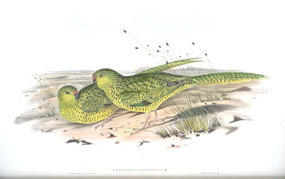 The whole sheet of volume V, plate 46, with its engraved caption