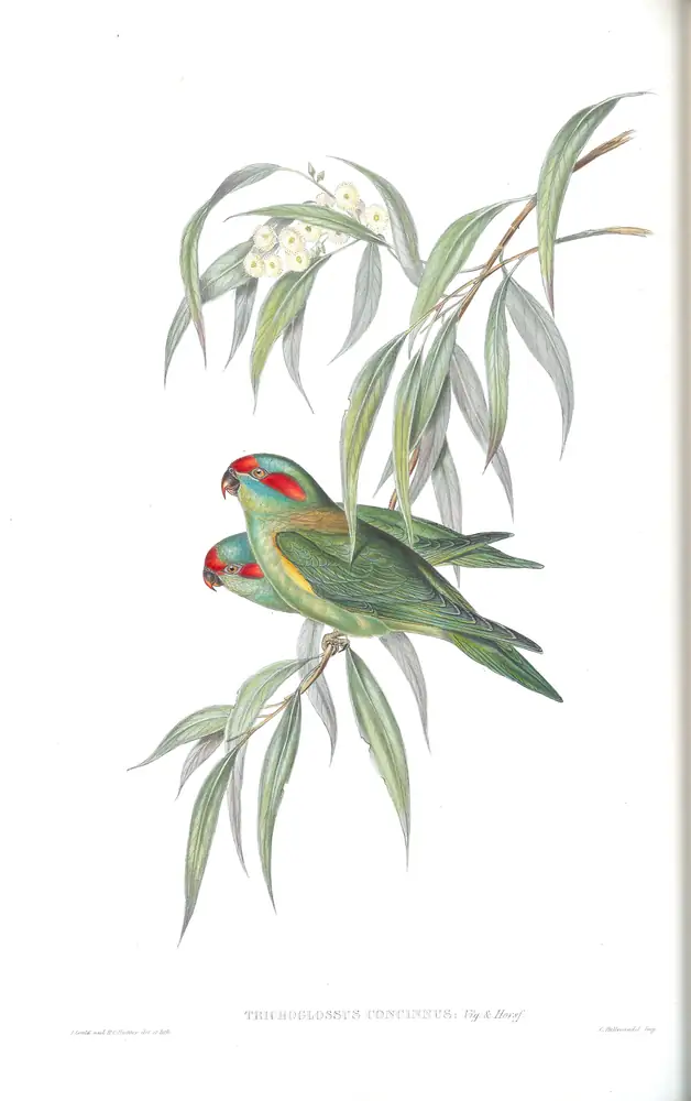 The whole sheet of volume V, plate 52, with its engraved caption