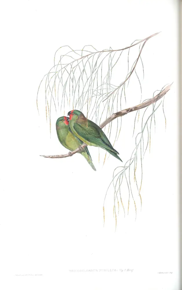 The whole sheet of volume V, plate 54, with its engraved caption