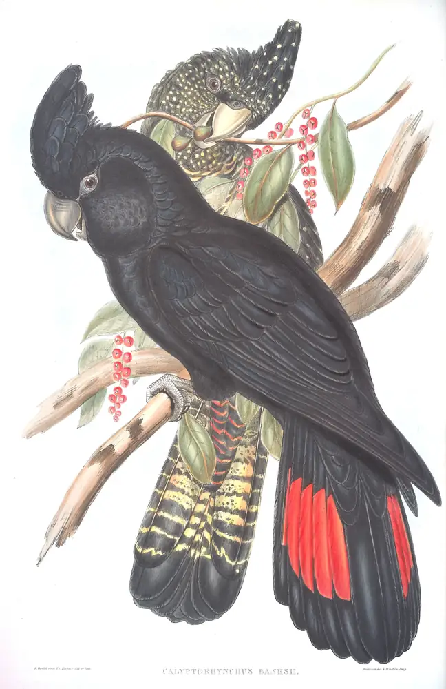 The whole sheet of volume V, plate 7, with its engraved caption
