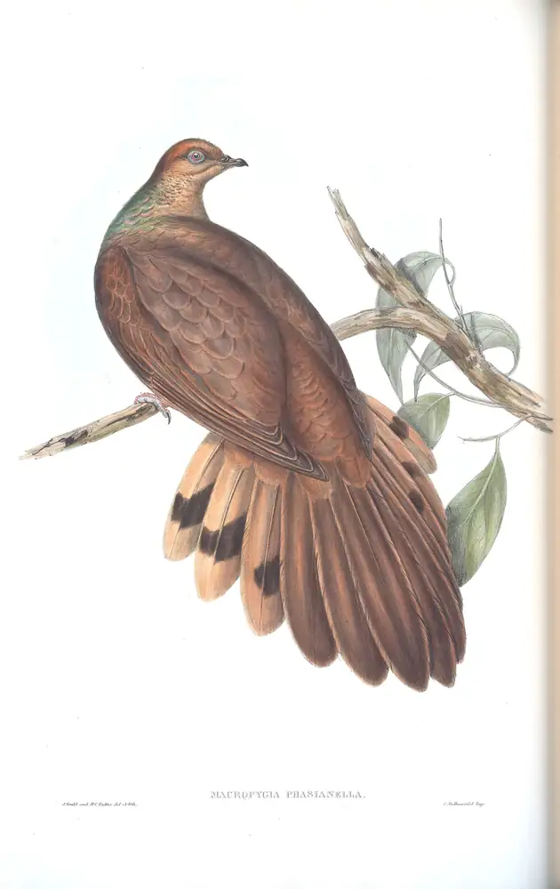 The whole sheet of volume V, plate 75, with its engraved caption