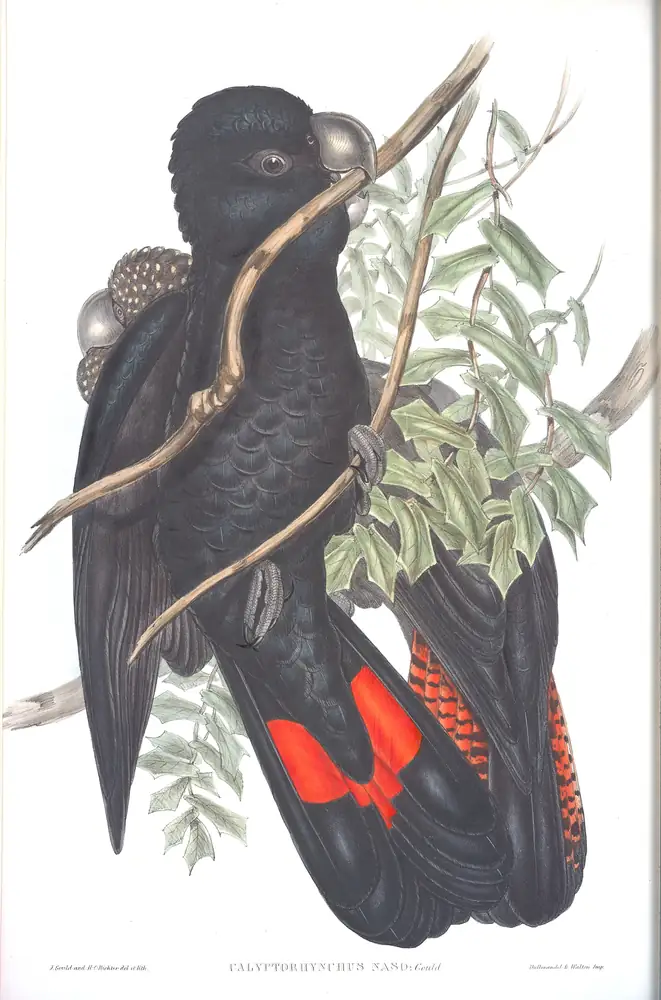 The whole sheet of volume V, plate 9, with its engraved caption