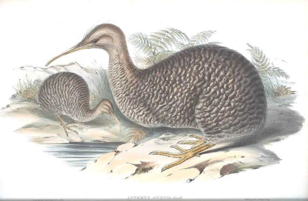 The whole sheet of volume VI, plate 3, with its engraved caption