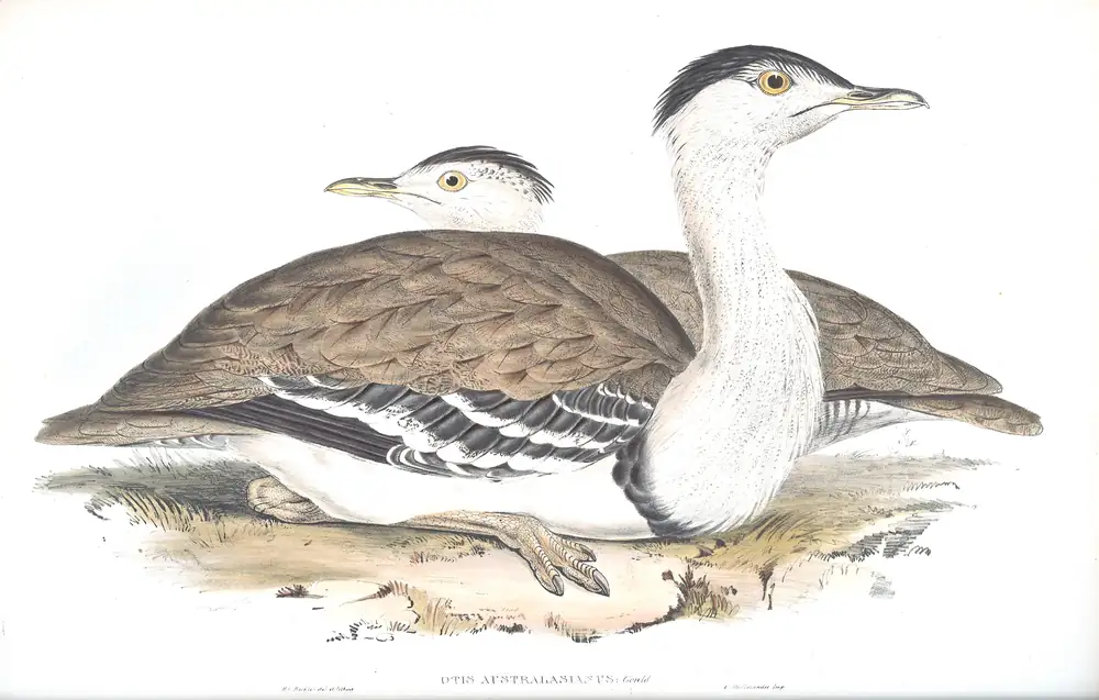 The whole sheet of volume VI, plate 4, with its engraved caption