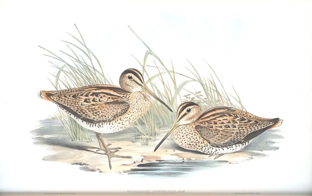 The whole sheet of volume VI, plate 40, with its engraved caption