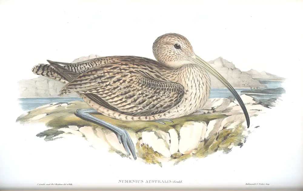 The whole sheet of volume VI, plate 42, with its engraved caption