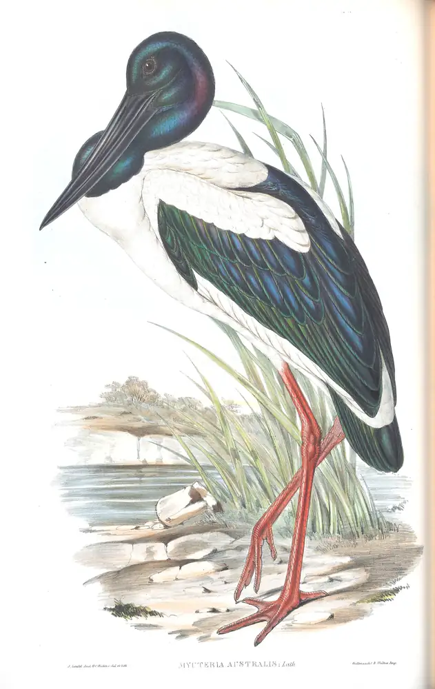 The whole sheet of volume VI, plate 51, with its engraved caption