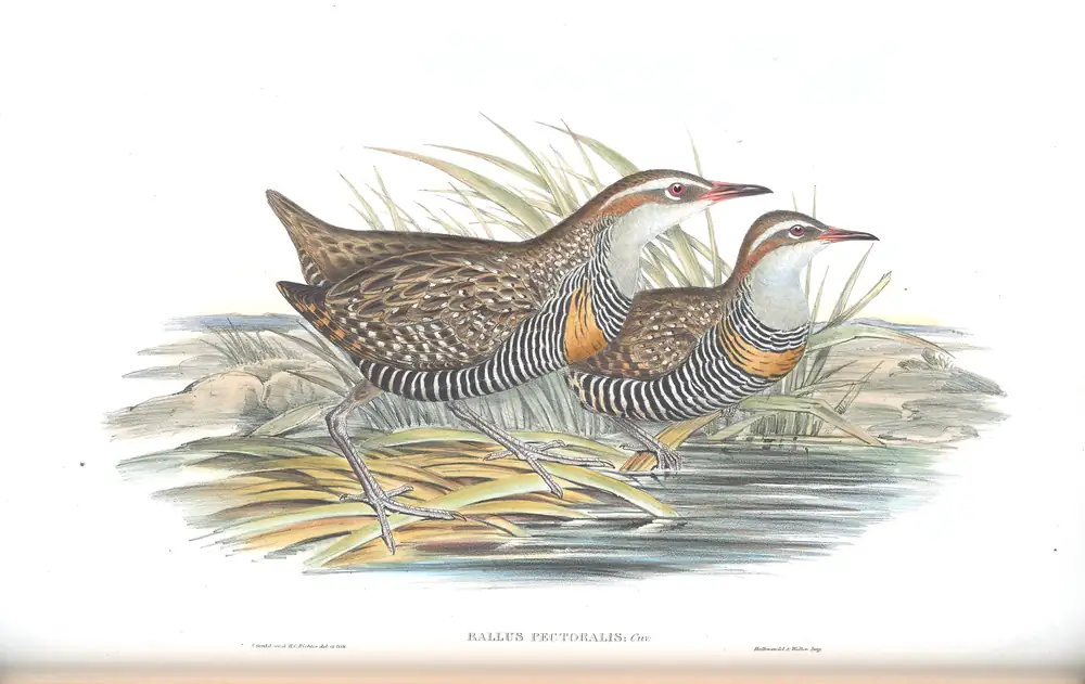 The whole sheet of volume VI, plate 76, with its engraved caption