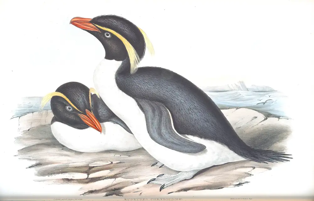The whole sheet of volume VII, plate 83, with its engraved caption