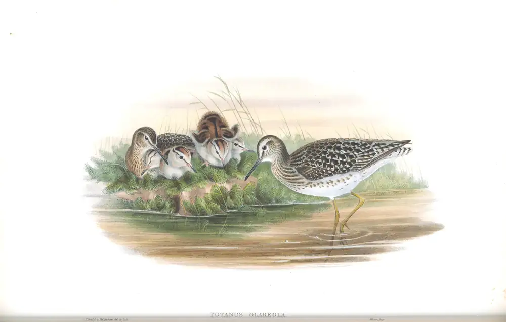 The whole sheet of volume IV, plate 57, with its engraved caption