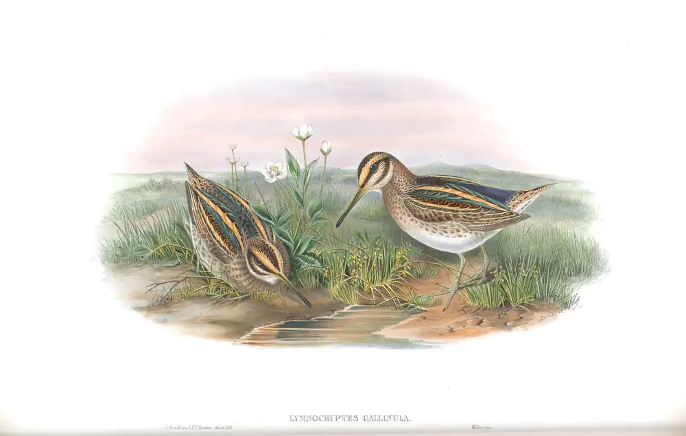 The whole sheet of volume IV, plate 80, with its engraved caption