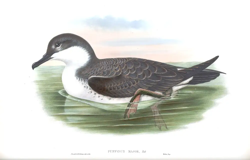 The whole sheet of volume V, plate 83, with its engraved caption