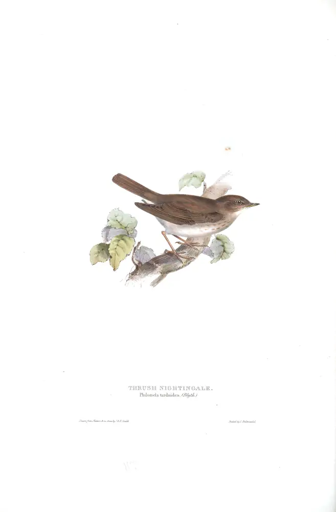 The whole sheet of plate 117, with its engraved caption