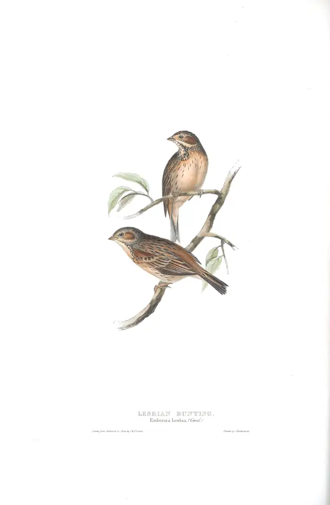 The whole sheet of plate 178, with its engraved caption