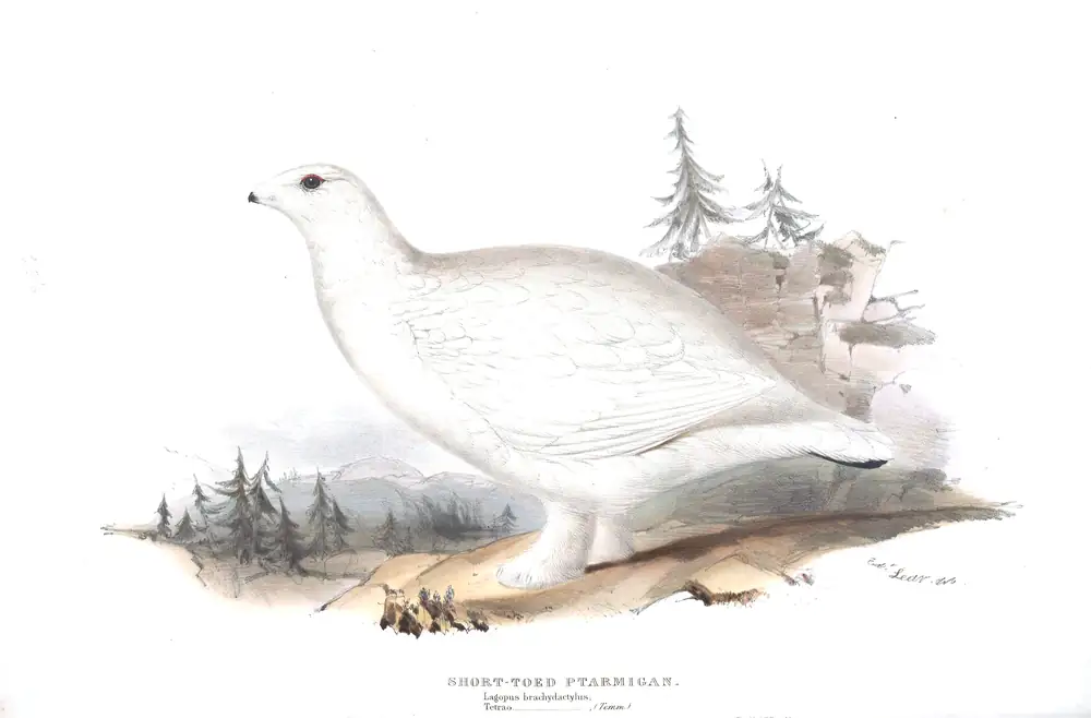 The whole sheet of plate 256, with its engraved caption