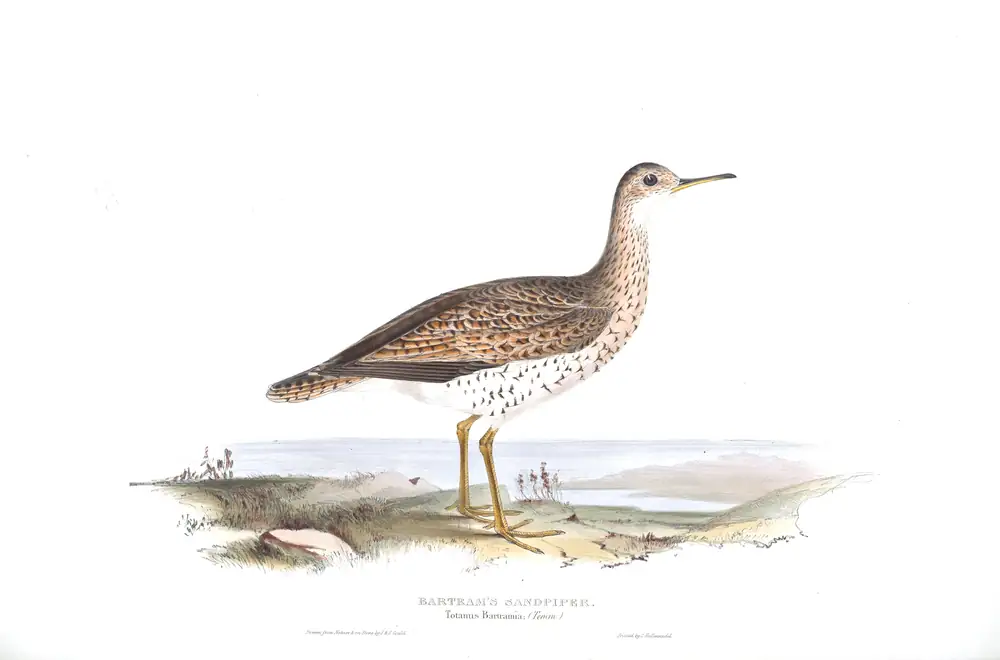 The whole sheet of plate 313, with its engraved caption