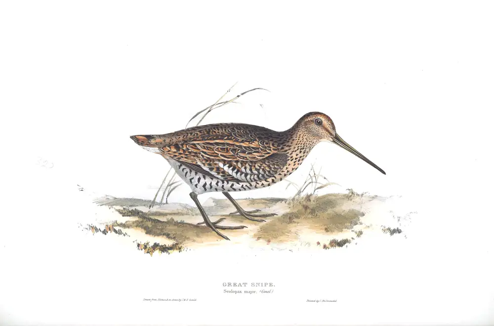 The whole sheet of plate 320, with its engraved caption