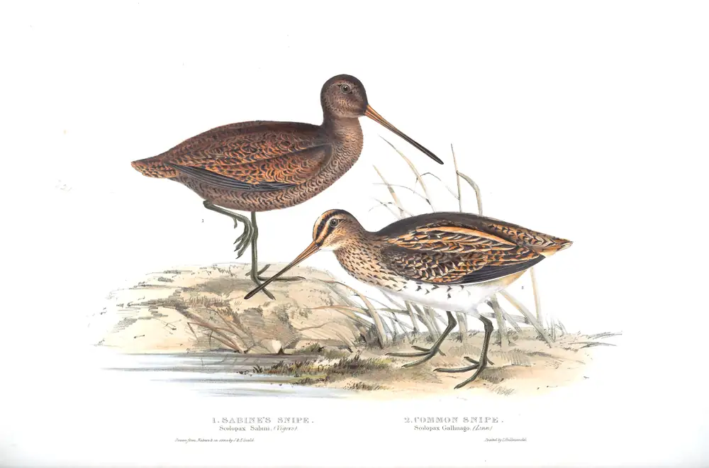 The whole sheet of plate 321, with its engraved caption