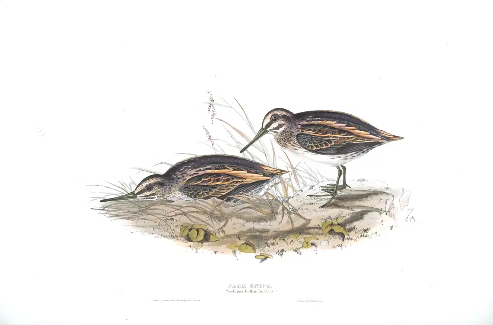 The whole sheet of plate 322, with its engraved caption