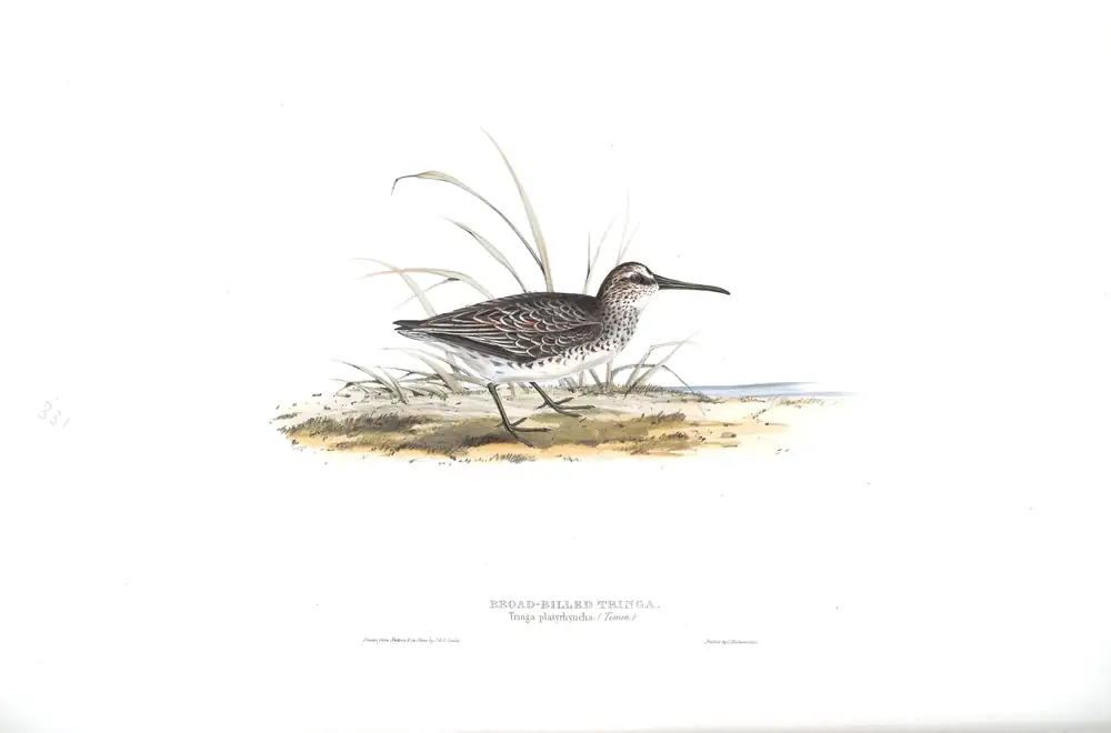 The whole sheet of plate 331, with its engraved caption