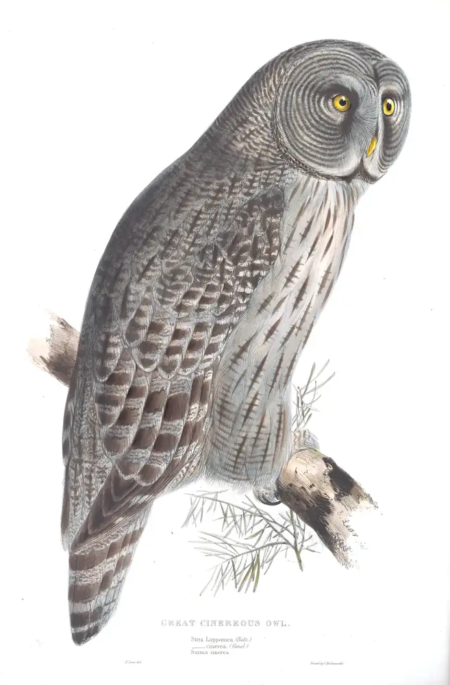 The whole sheet of plate 42, with its engraved caption