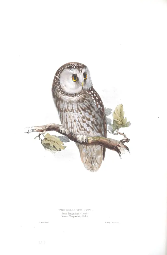 The whole sheet of plate 49, with its engraved caption