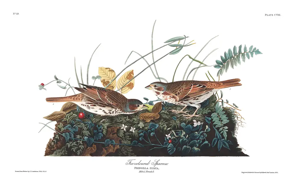The whole sheet of plate 108, with its engraved caption