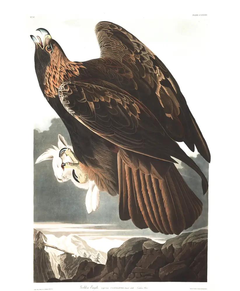 The whole sheet of plate 181, with its engraved caption