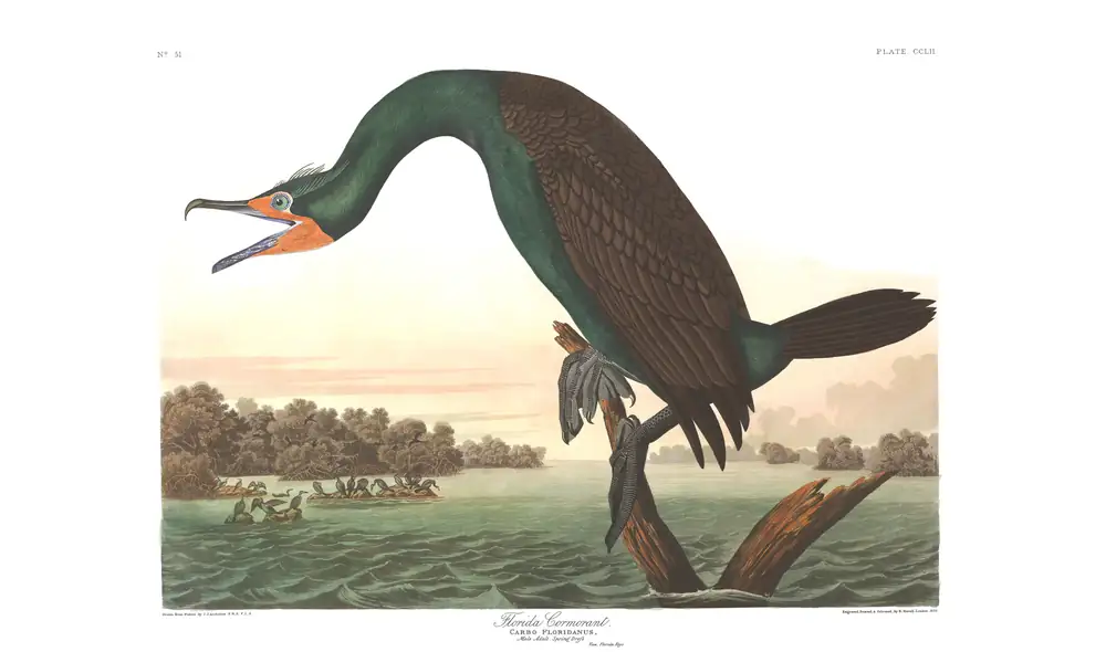 The whole sheet of plate 252, with its engraved caption