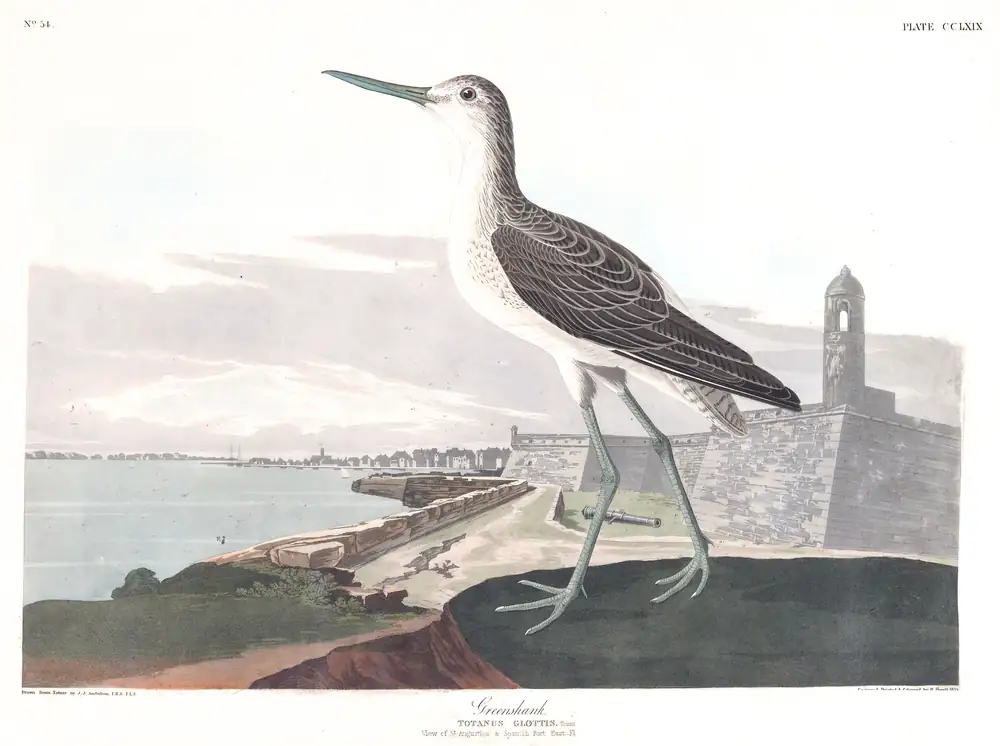 The whole sheet of plate 269, with its engraved caption