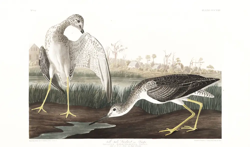 The whole sheet of plate 308, with its engraved caption