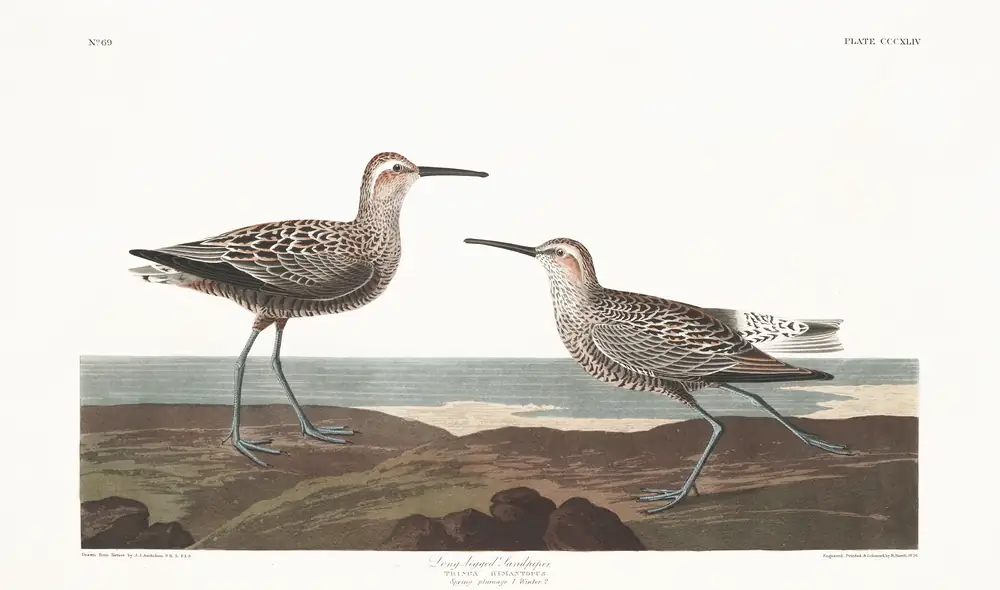 The whole sheet of plate 344, with its engraved caption