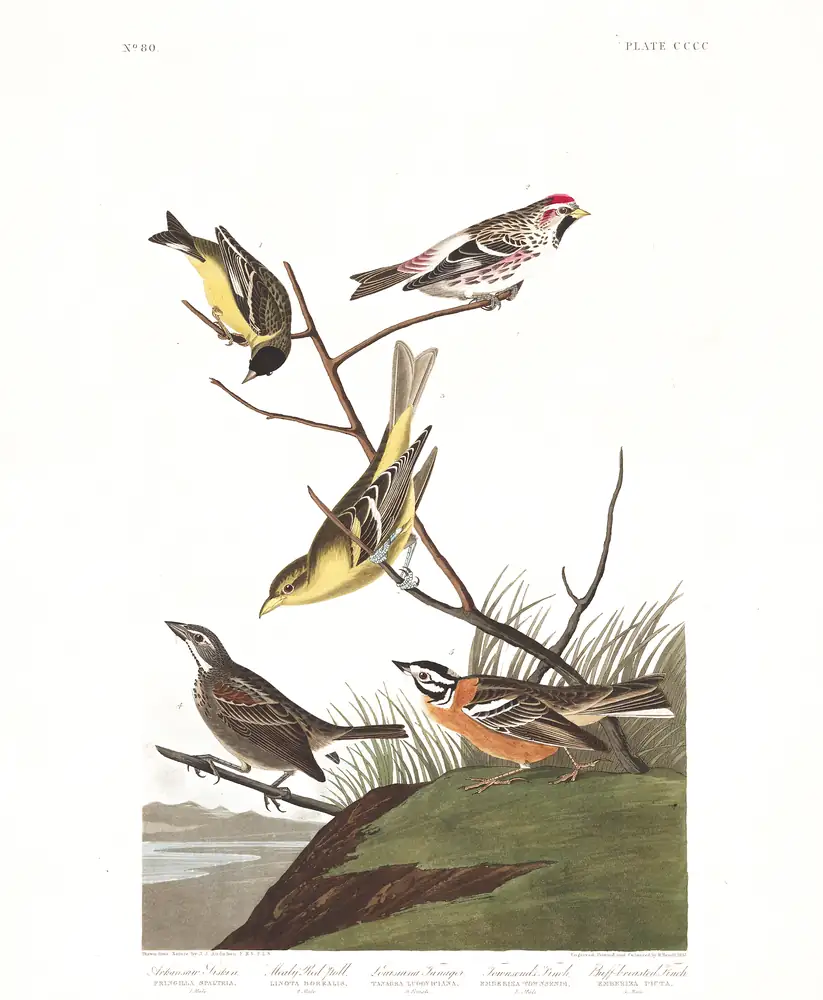 The whole sheet of plate 400, with its engraved caption